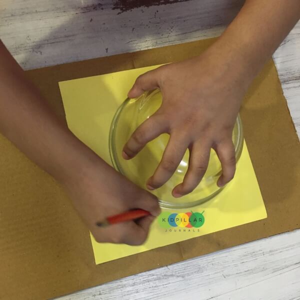 Science projects for kids