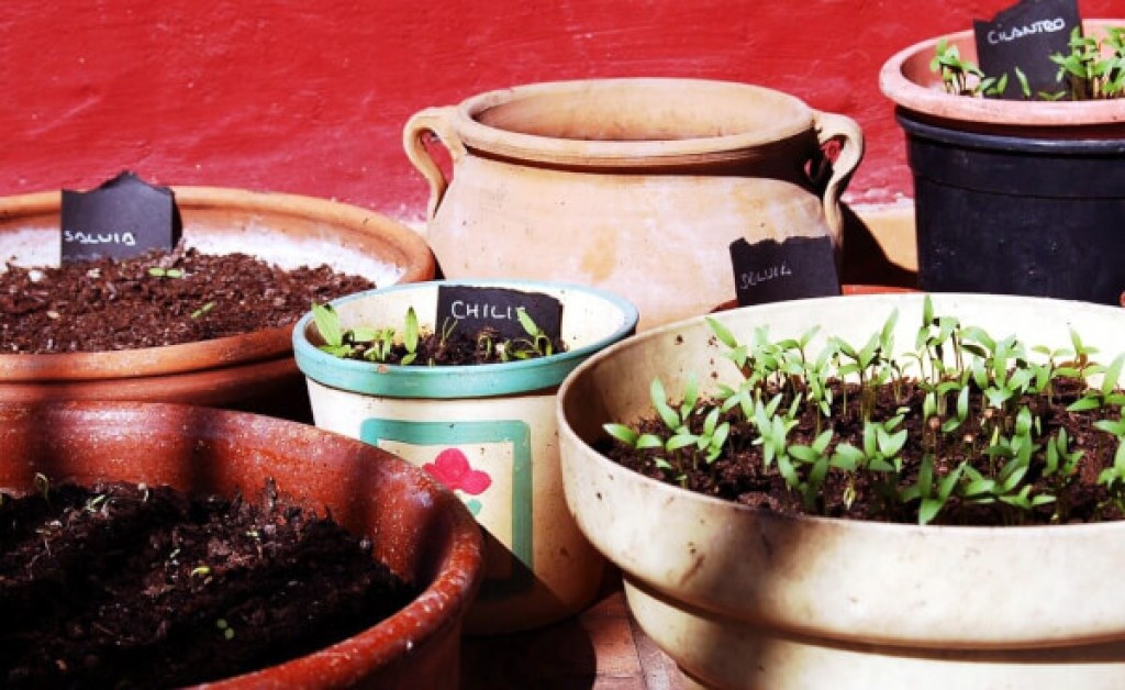 Fun lenten activities for family catholic