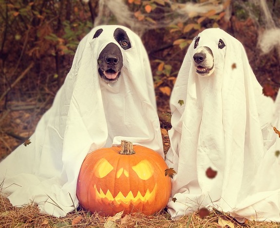 halloween fun facts for kids