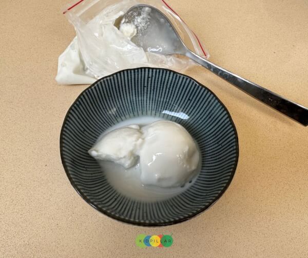 ice cream in a bag recipe