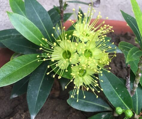 Outdoor STEM Activities for kids