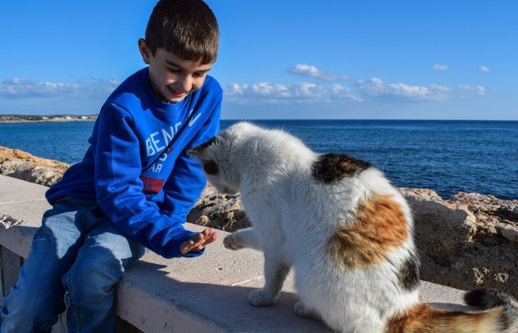 kids kindness with animals