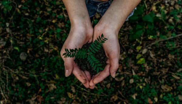 Earth day 