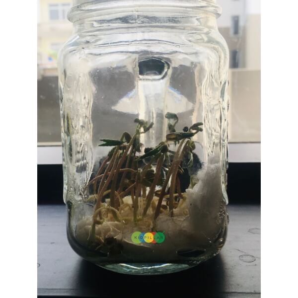 Earth day activities for kids