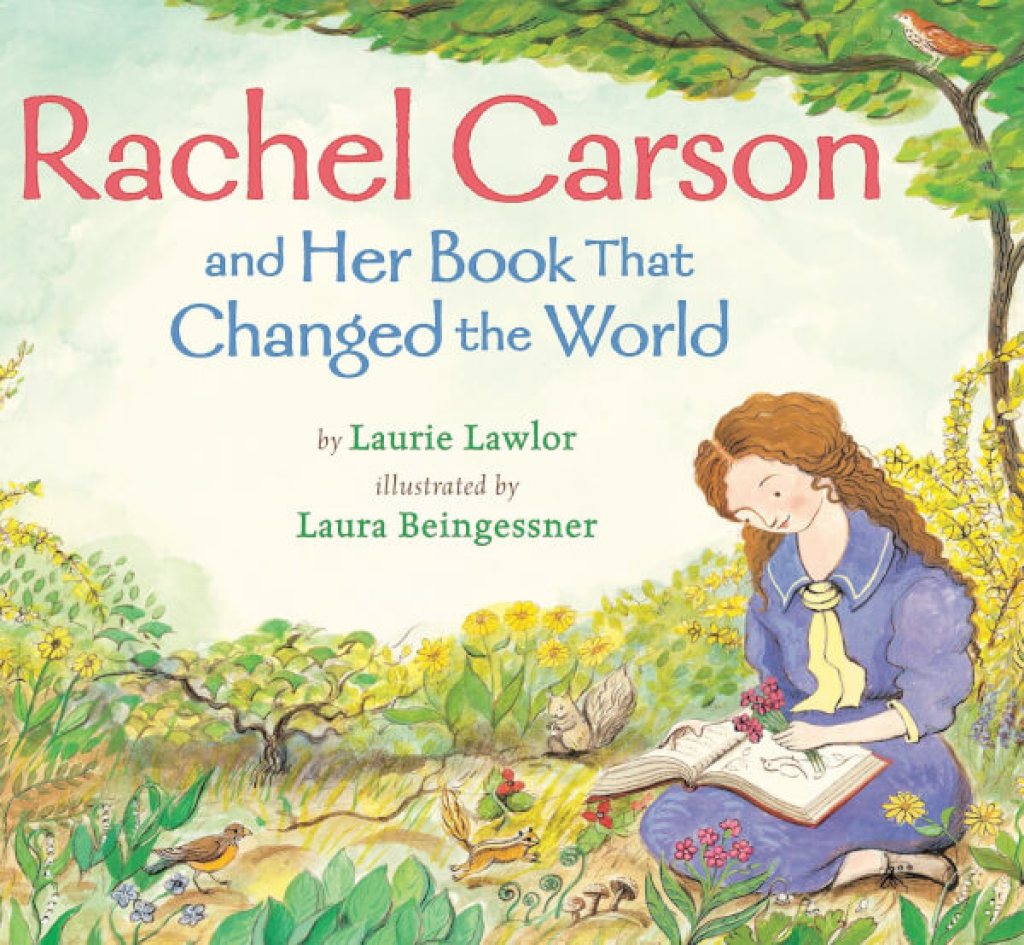 stem books for 2nd grade